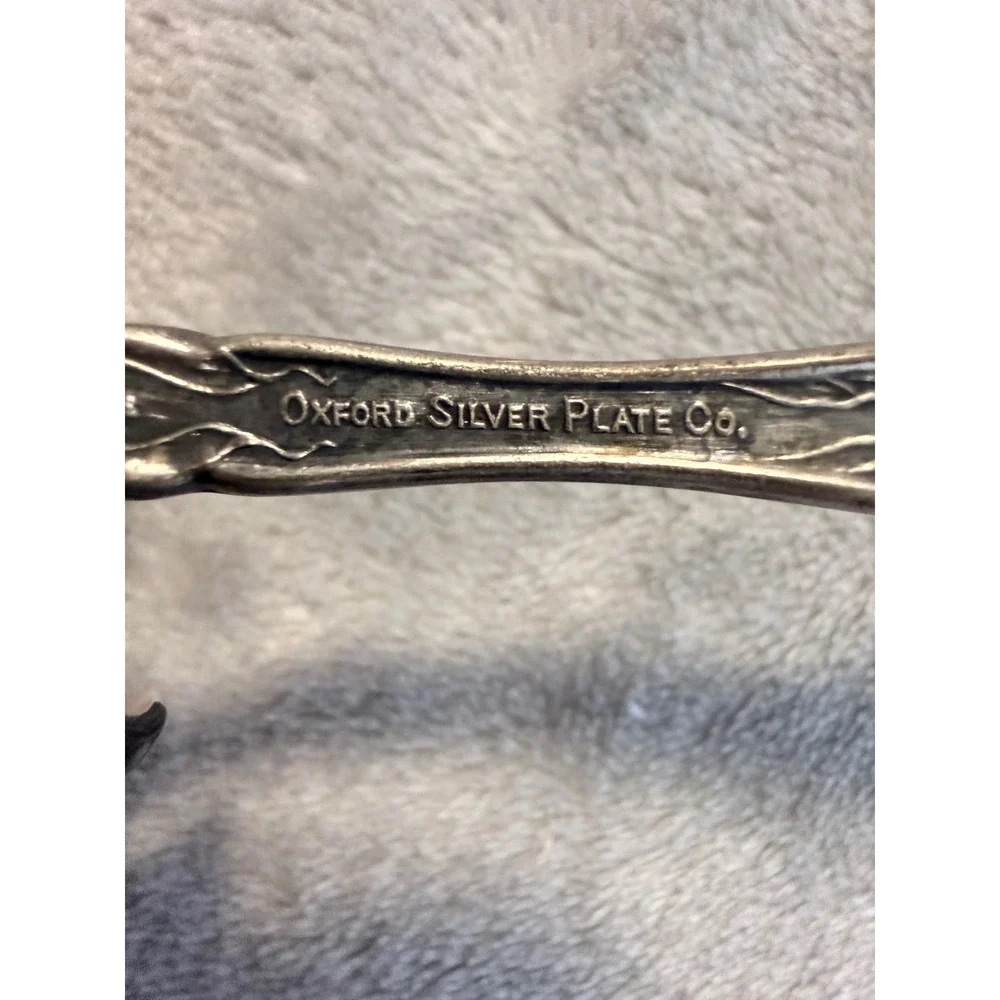 Oxford Silver Plate Co Narcissus 1908 Art Nouveau Berry Serving Spoon Floral